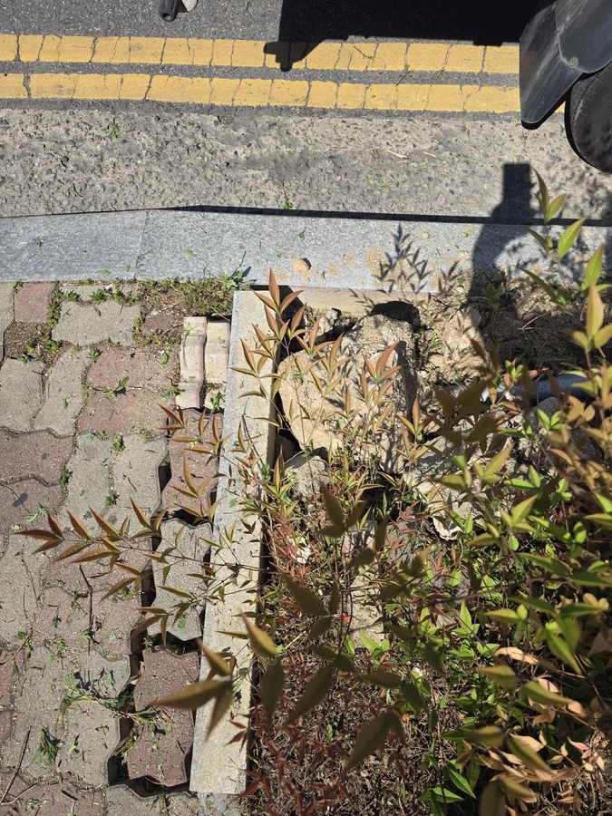 계단 돌 에폭시 주입